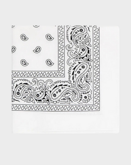 Pañoletas Bandanas