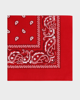 Pañoletas Bandanas