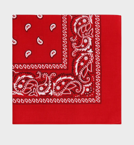 Pañoletas Bandanas
